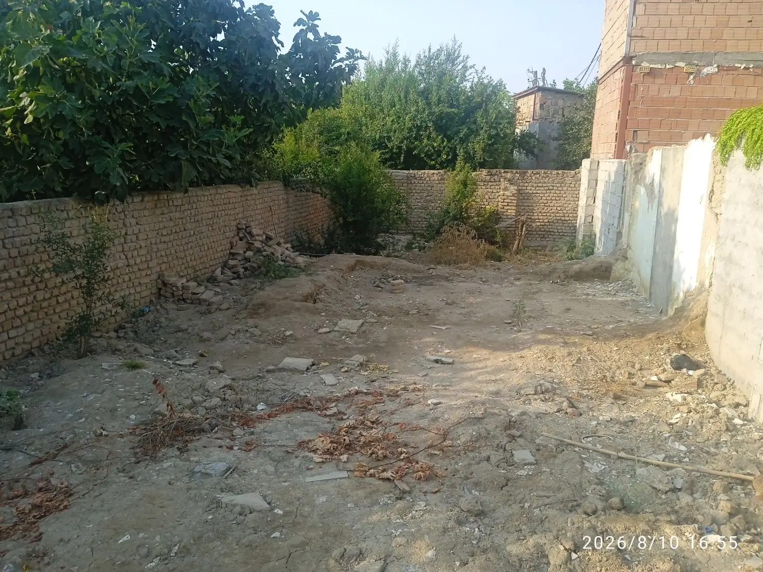 زمین