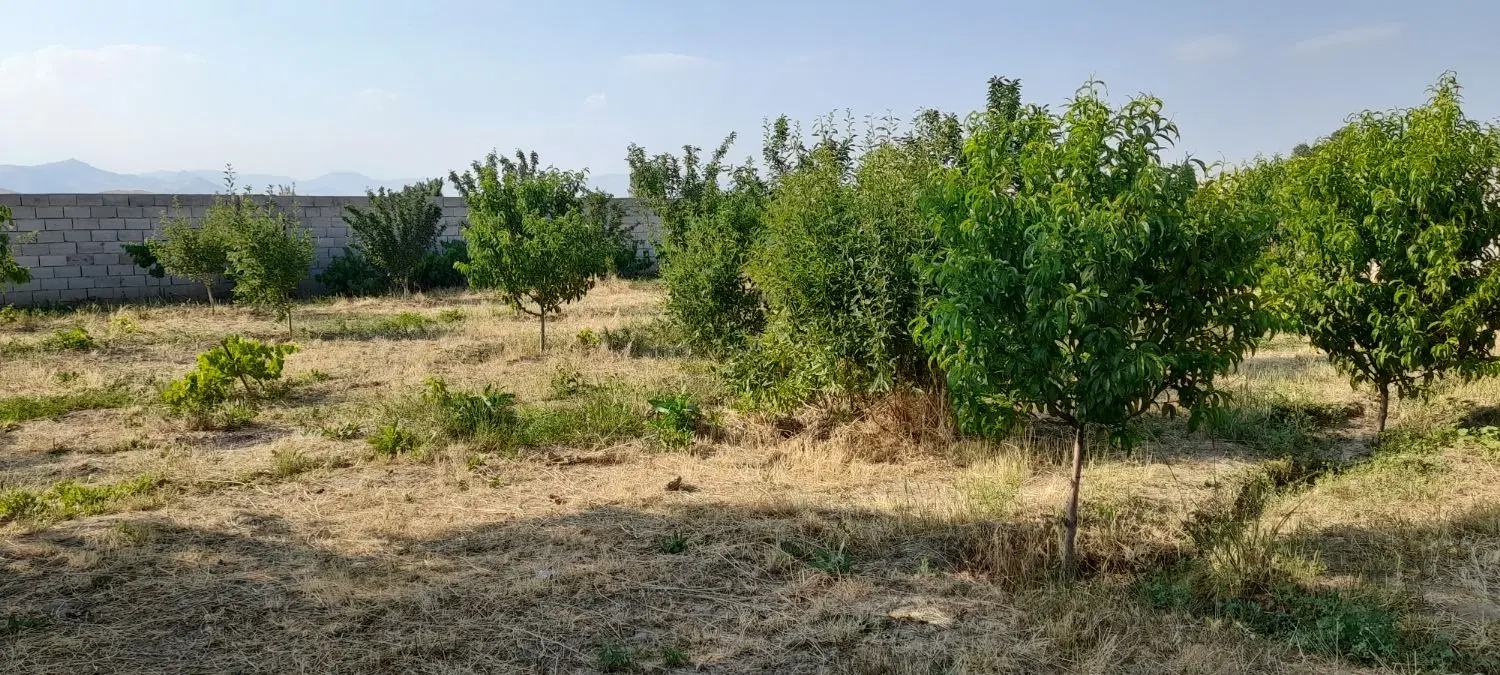 باغ تقریبا۱۰۰۰ متری اول جاده انهر ویلایی فوری فوری