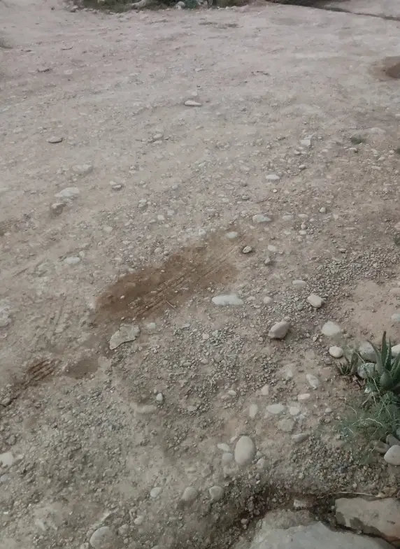 فروش زمین جرسقان