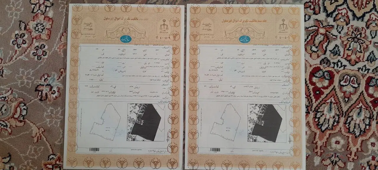 فروش زمین ارغوانیه