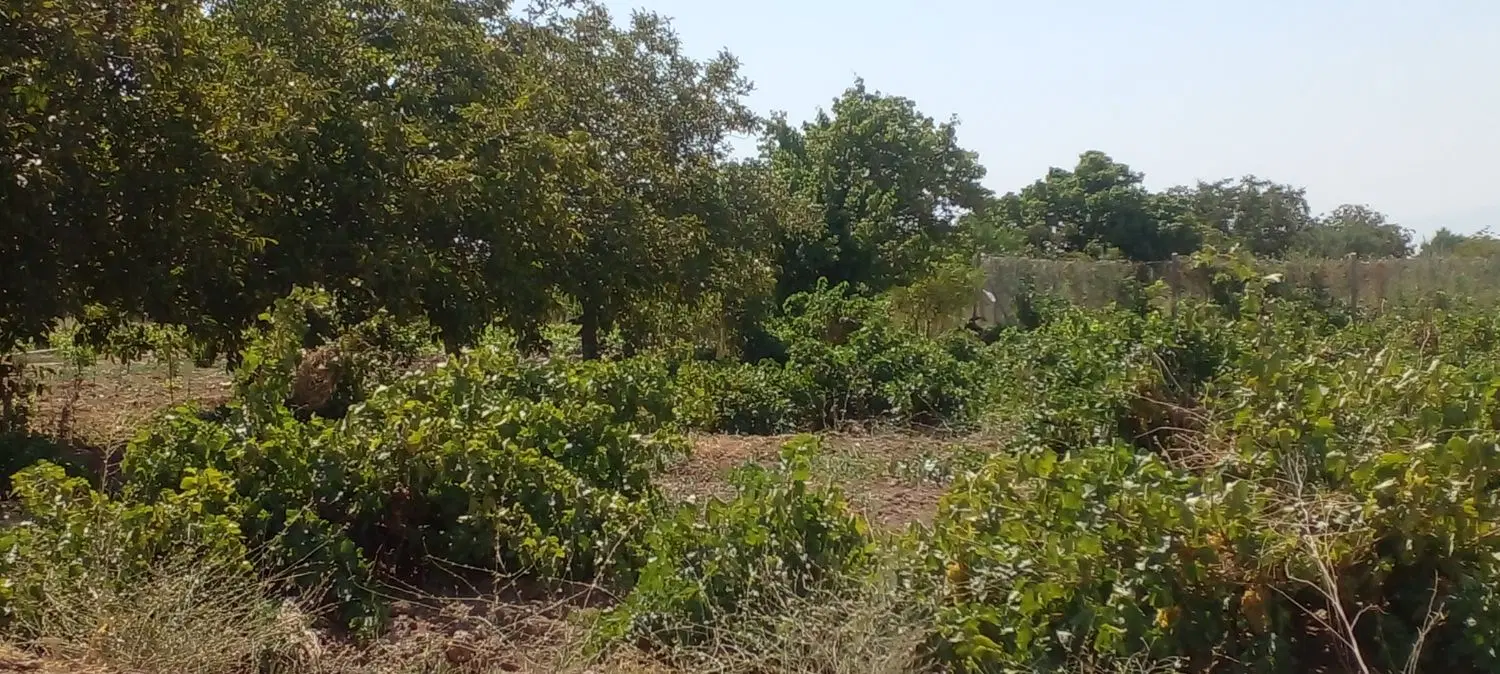 باغ ویلا امکانات  آب برق گاز