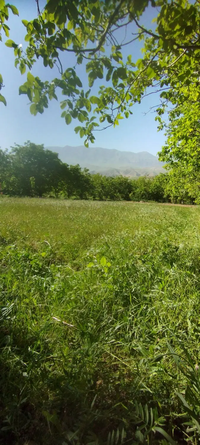 خانه ویلایی
