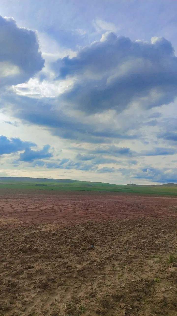 زمین باغو داخل طرح هادی