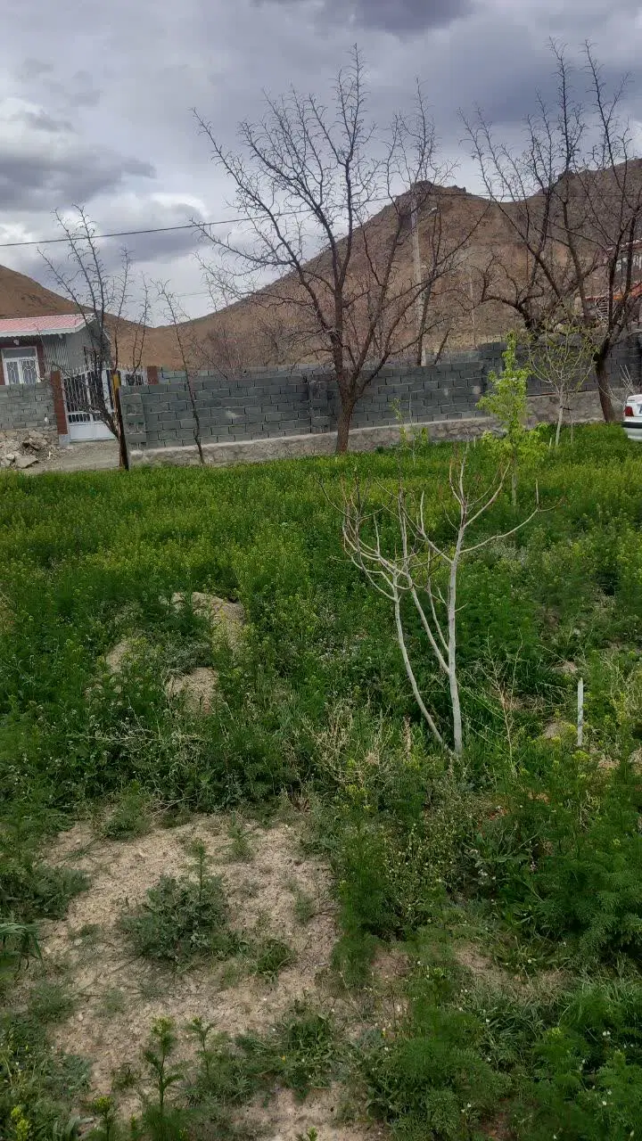 زمین باغی واقع در نزدیکی بوشاد