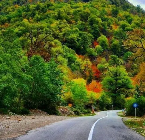 زمین ۳۲۰۰ متری بر اتوبان رامسر