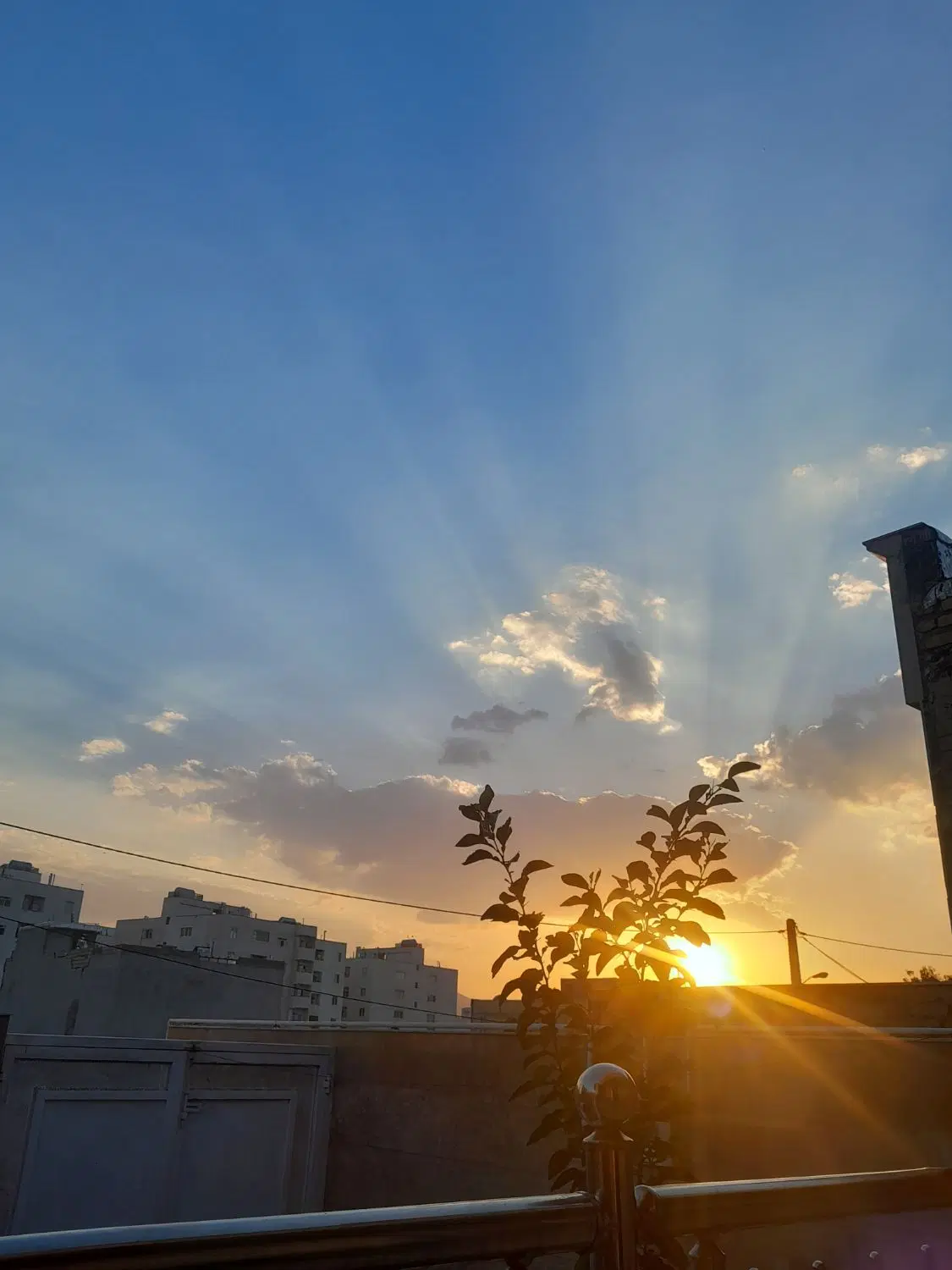 واحد ویلایی درب حیاط