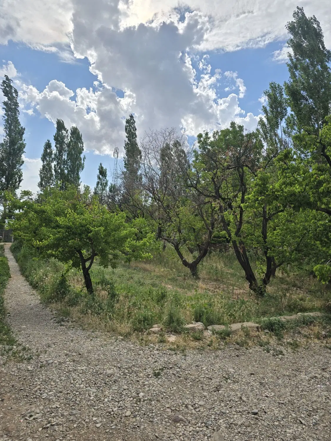 باغ نیستان آستانه
