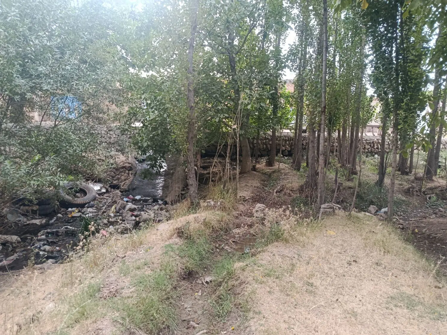 باغ، به متراژ ۱۲۰۰ متر، روستای رحمان آباد