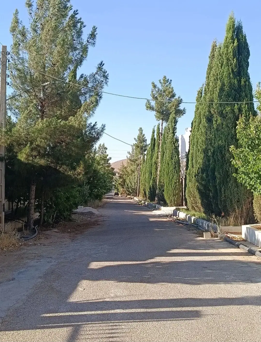 فروش زمین باغشهری 1000متری با سند تک برگ درملوسجان