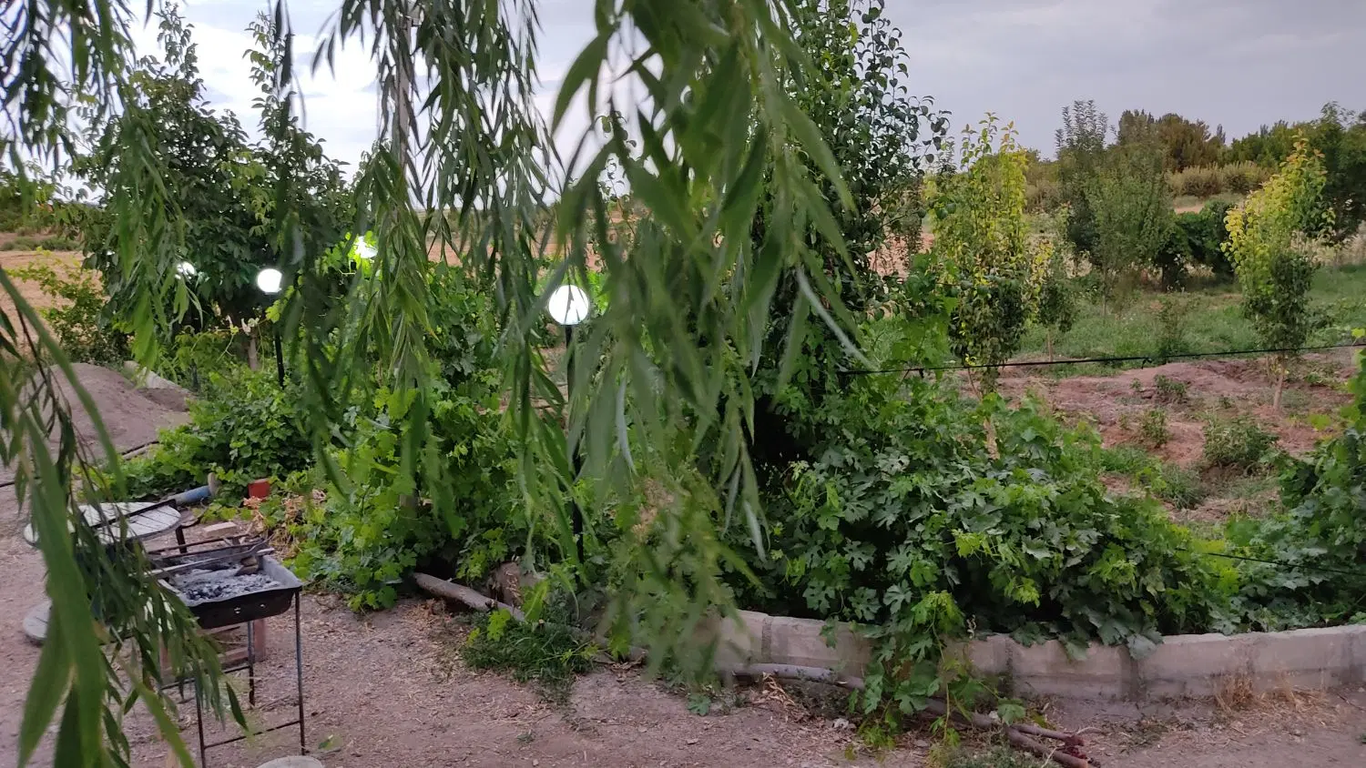باغ جاده تبریز
