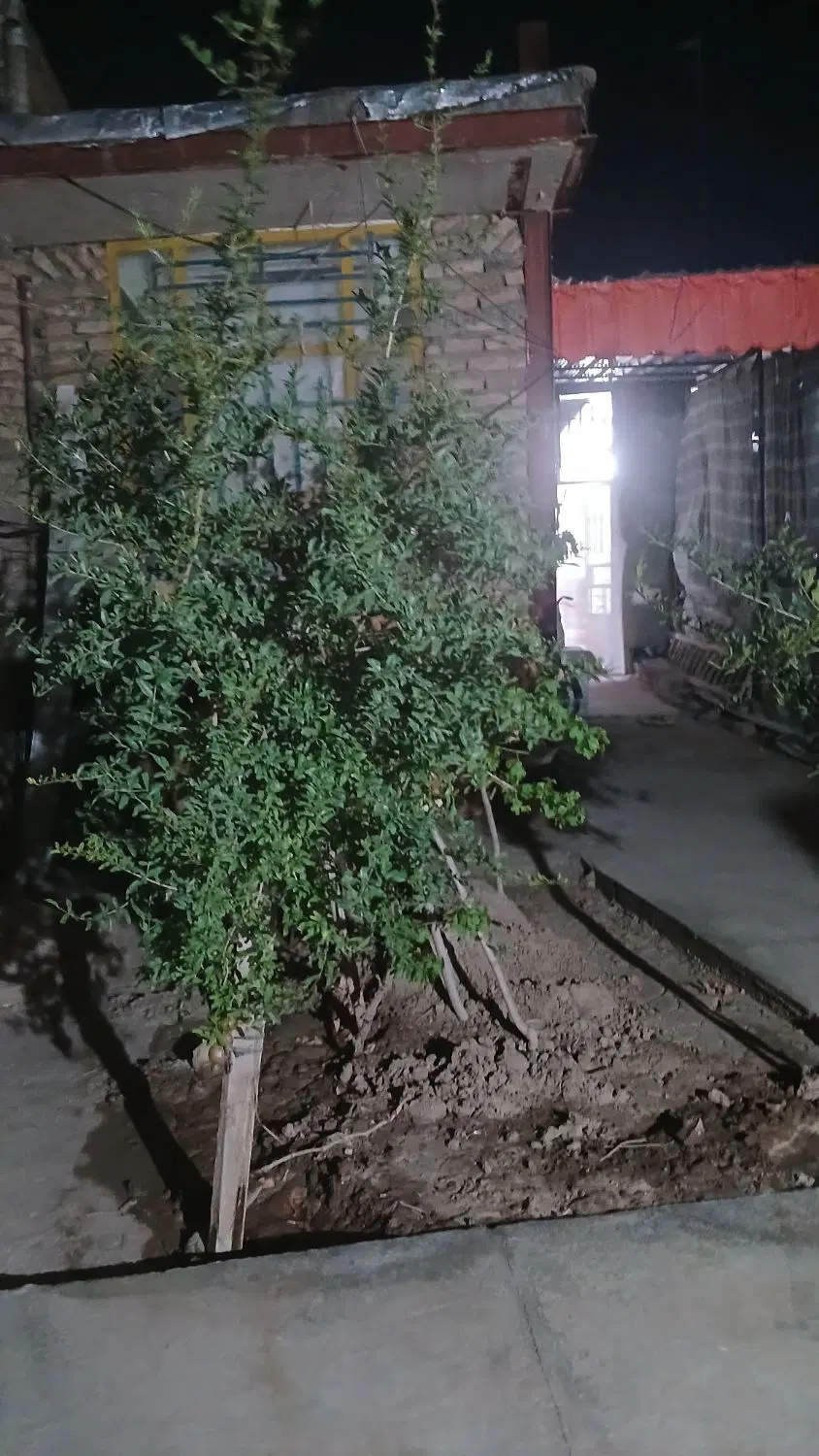فروش خانه ویلایی