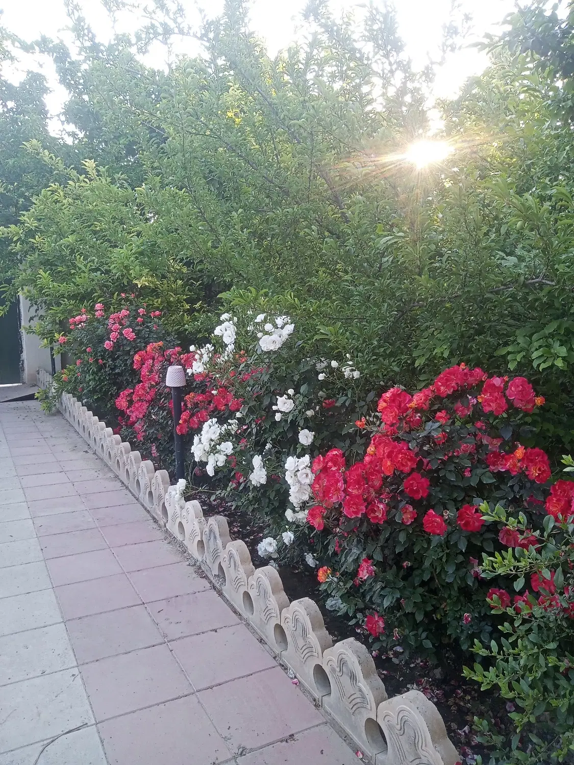فروش ویلا 700متر