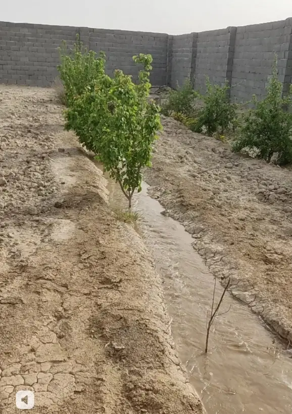 چهار دیواری باغی تا پای باغ آسفالت