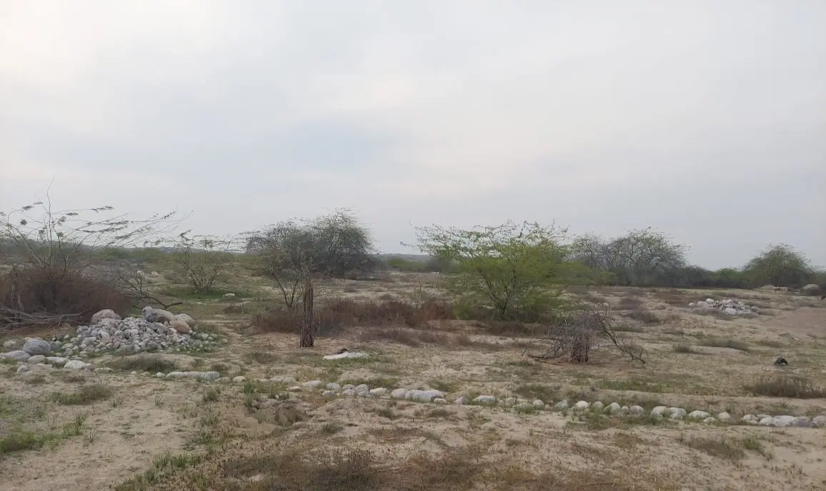 زمین فروشی