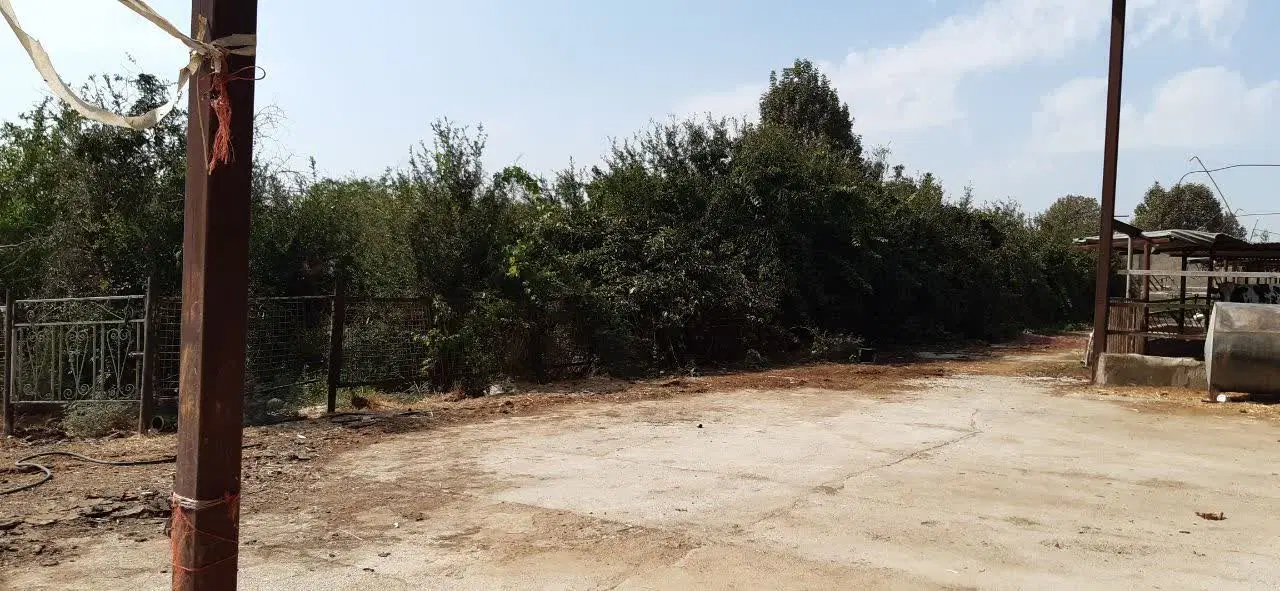 دامداری با باغ اناری