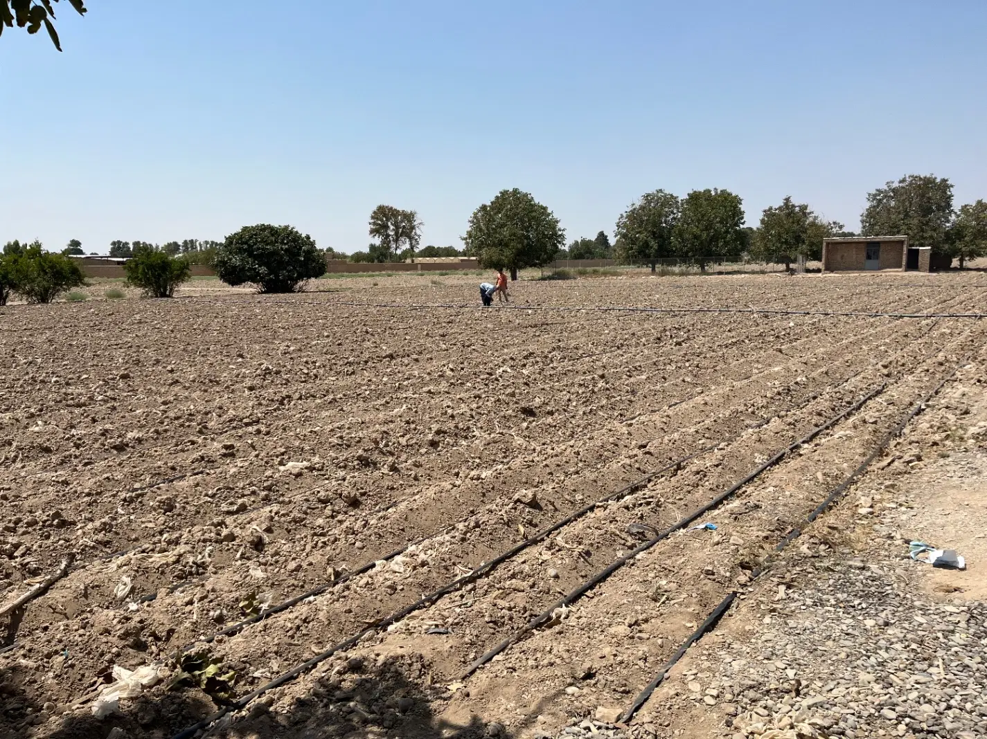 فروش زمین کشاورزی سنددار و دارای مجوز گلخانه