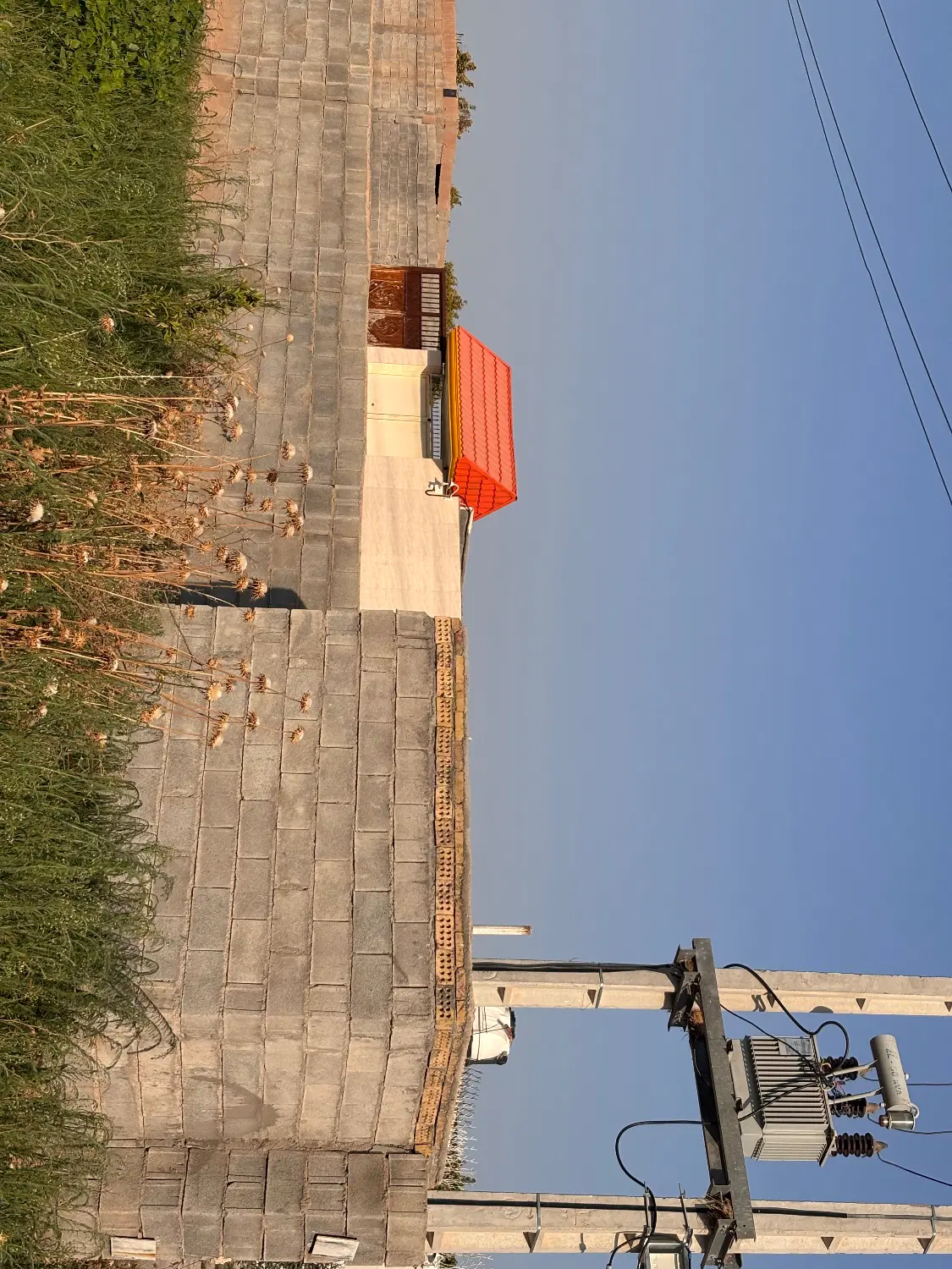 باغ،باغچه،برقدار