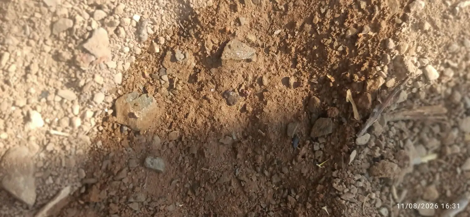زمین برای احداث باغ سه کیلومتری بیحار
