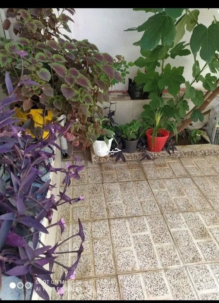 خانه ویلایی شریعتی کوچه خداداده