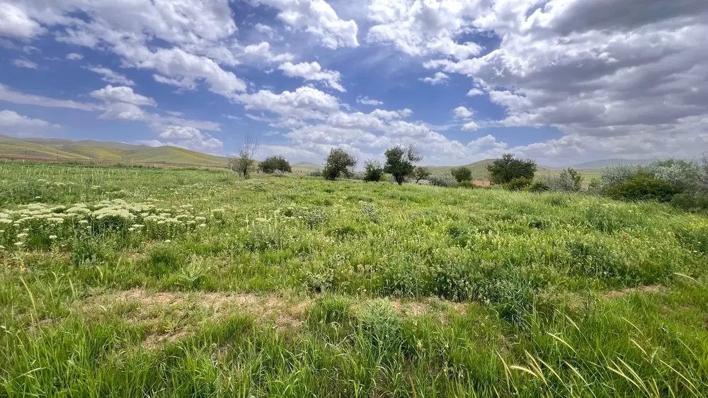 فروش زمین کشاورزی خام