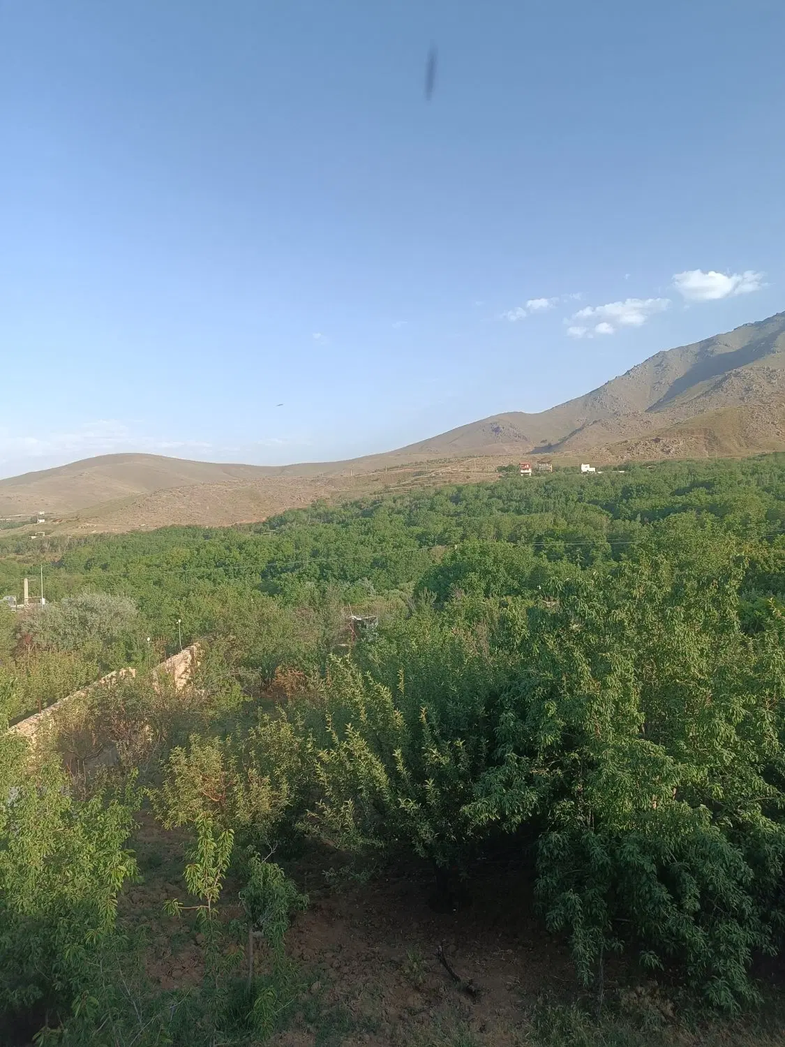 زمین چهار دیواری با چاه آب حیدره بالای شهر