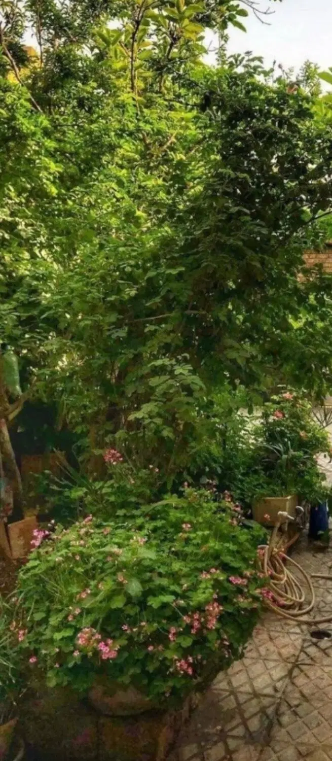 خانه قدیمی بزرگ