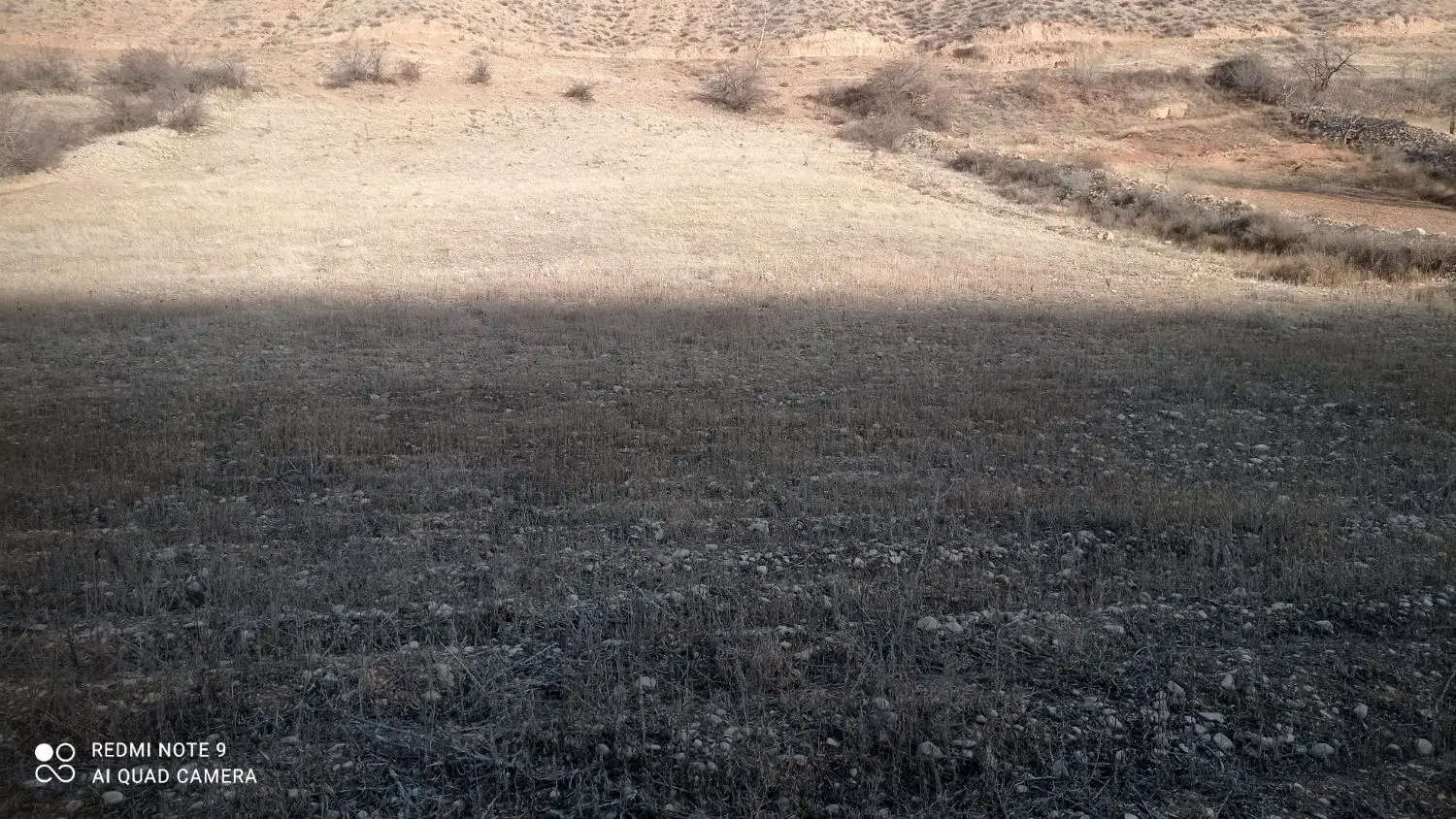 فروش چند تا زمین باغی روستای مهنان زیبا