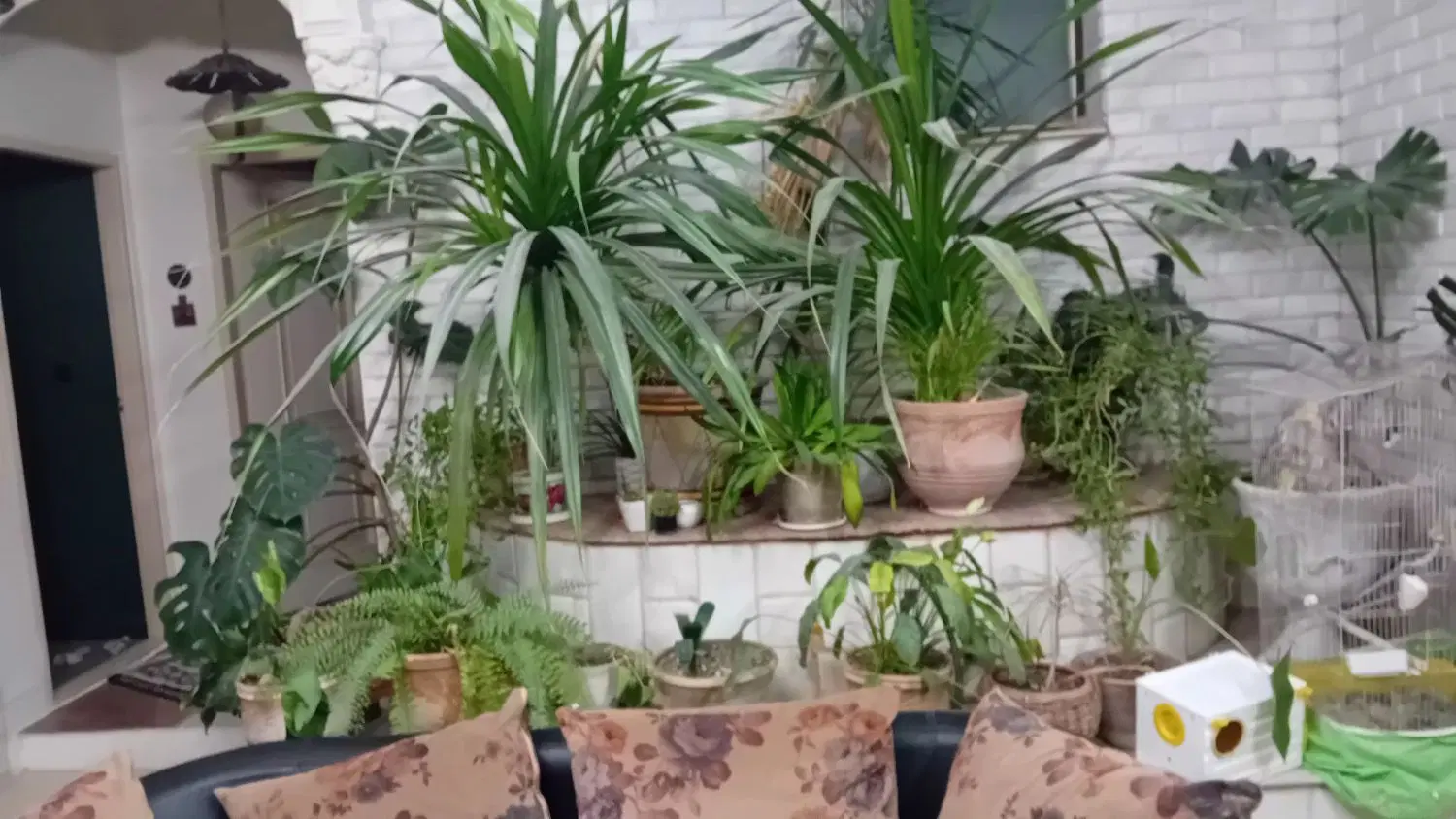 ساختمان ویلای ۲۲۵متردو کله دراراضی فاز۴.