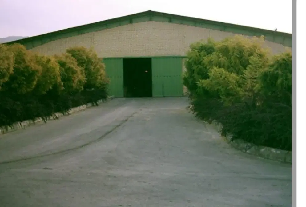 کارخانه چرمسازی
