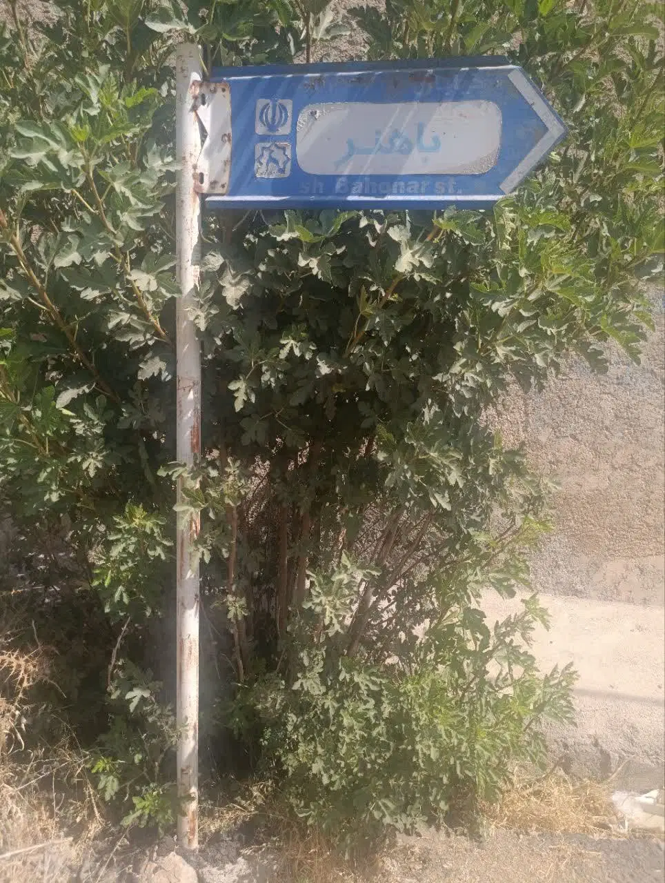 زمین روستای گنجه ای بزرگ