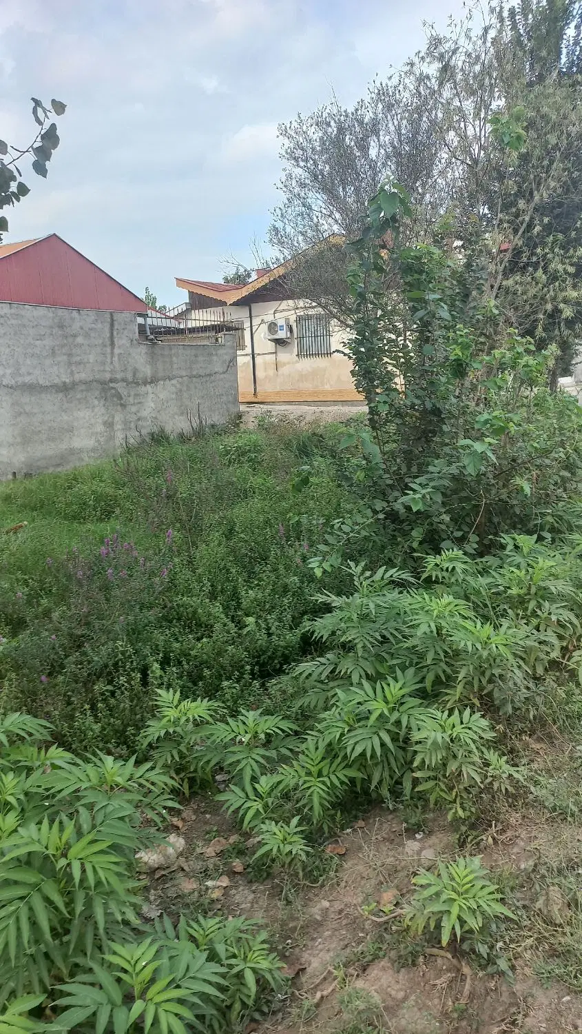 ۱۰۰ متر زمین مسکونی
