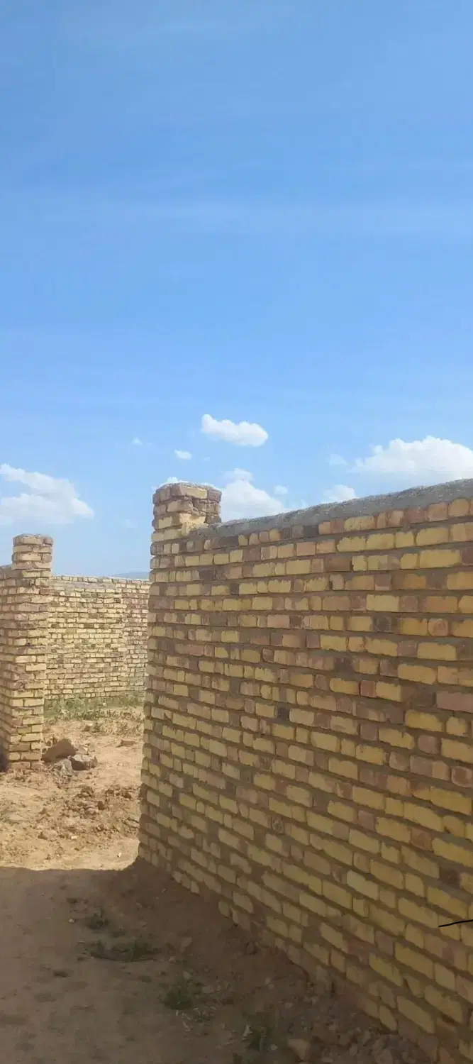 زمین باغی