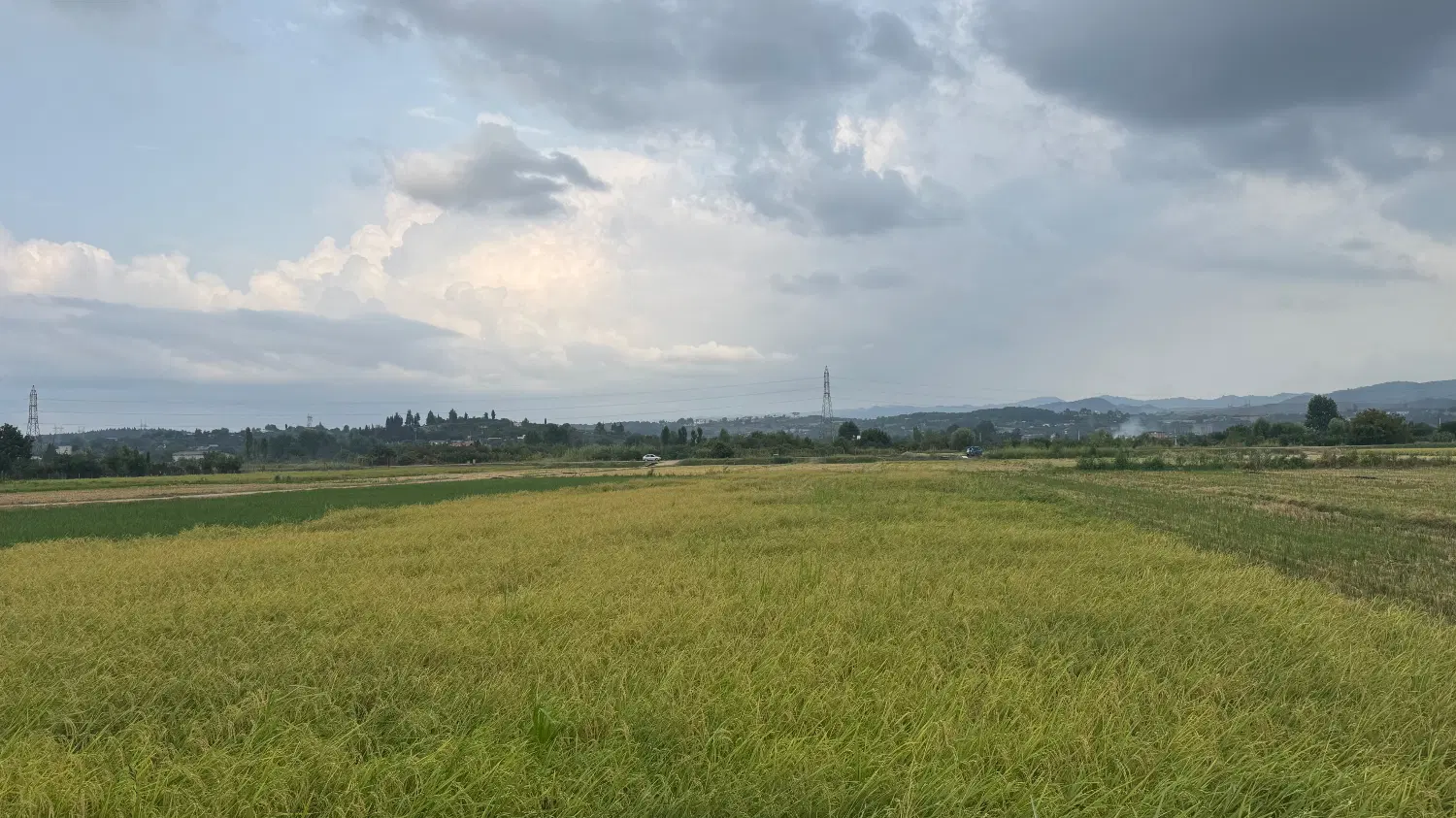 زمین  کشاورزی
