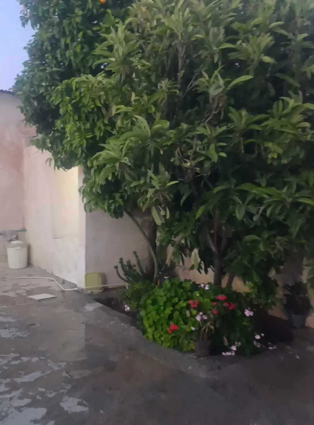 خانه فروشی قدیمی به متراژ ۴۰۰مترداریون