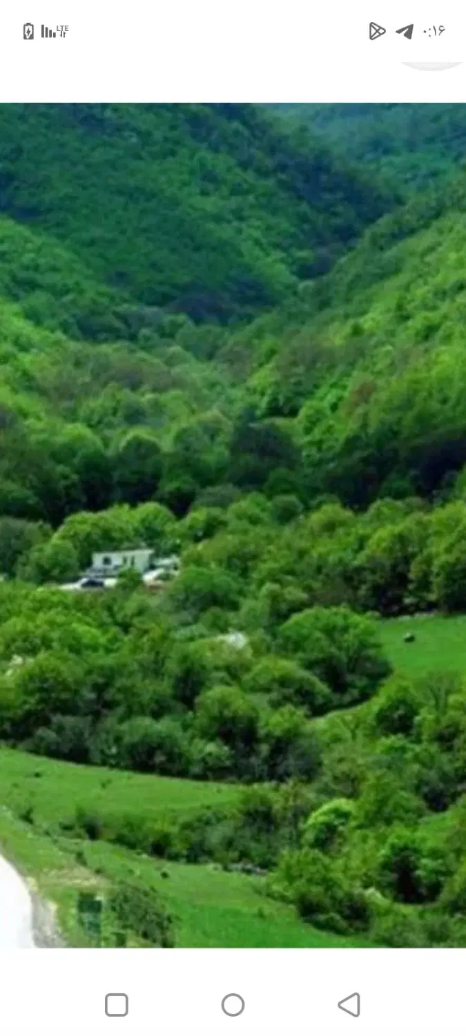 اسکان رایگان
