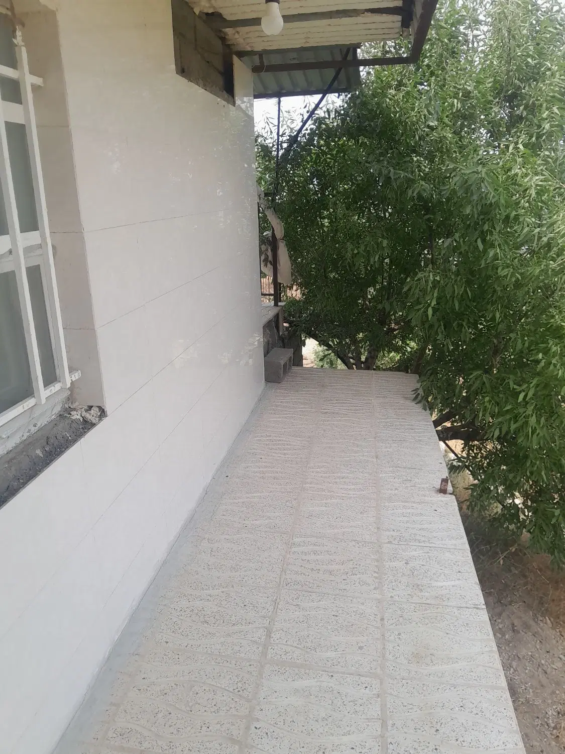 باغ وزمین برای باغ باباریزجاده گاوداری