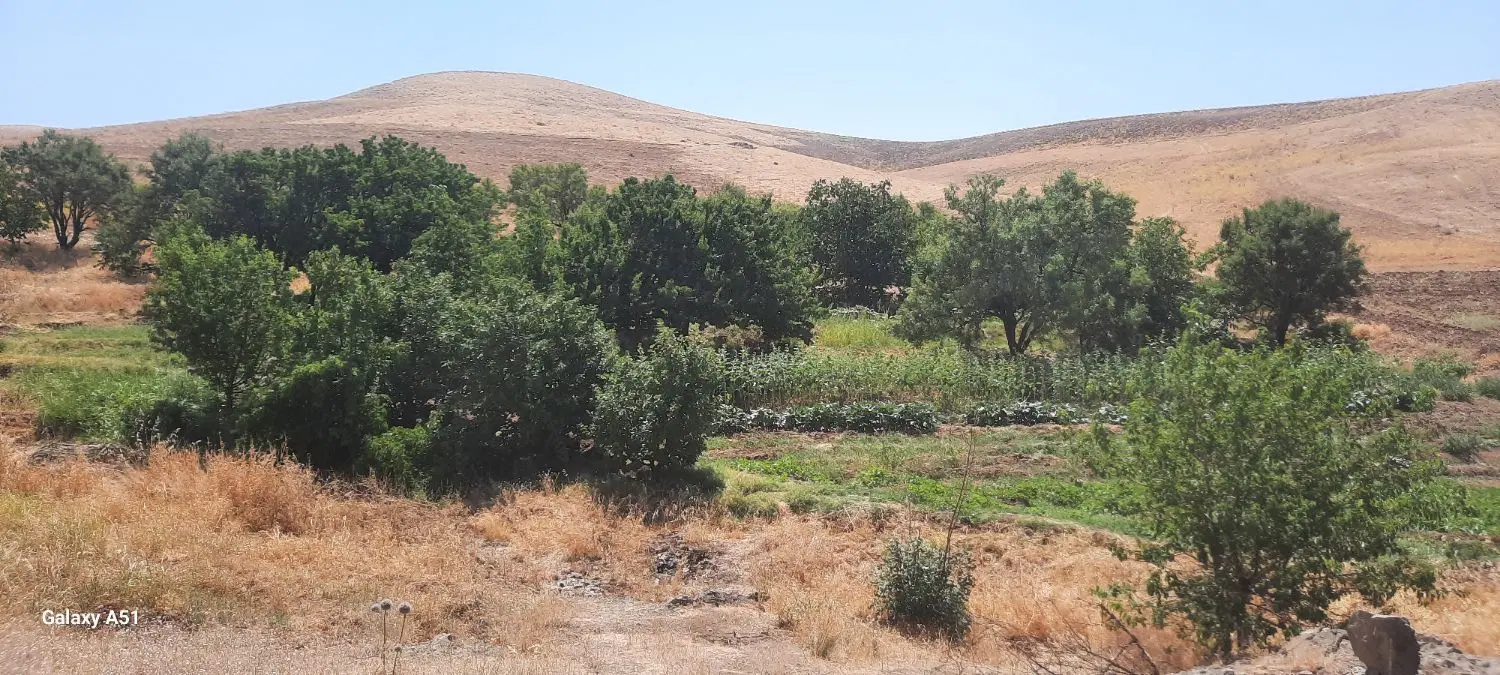 زمین کشاورزی