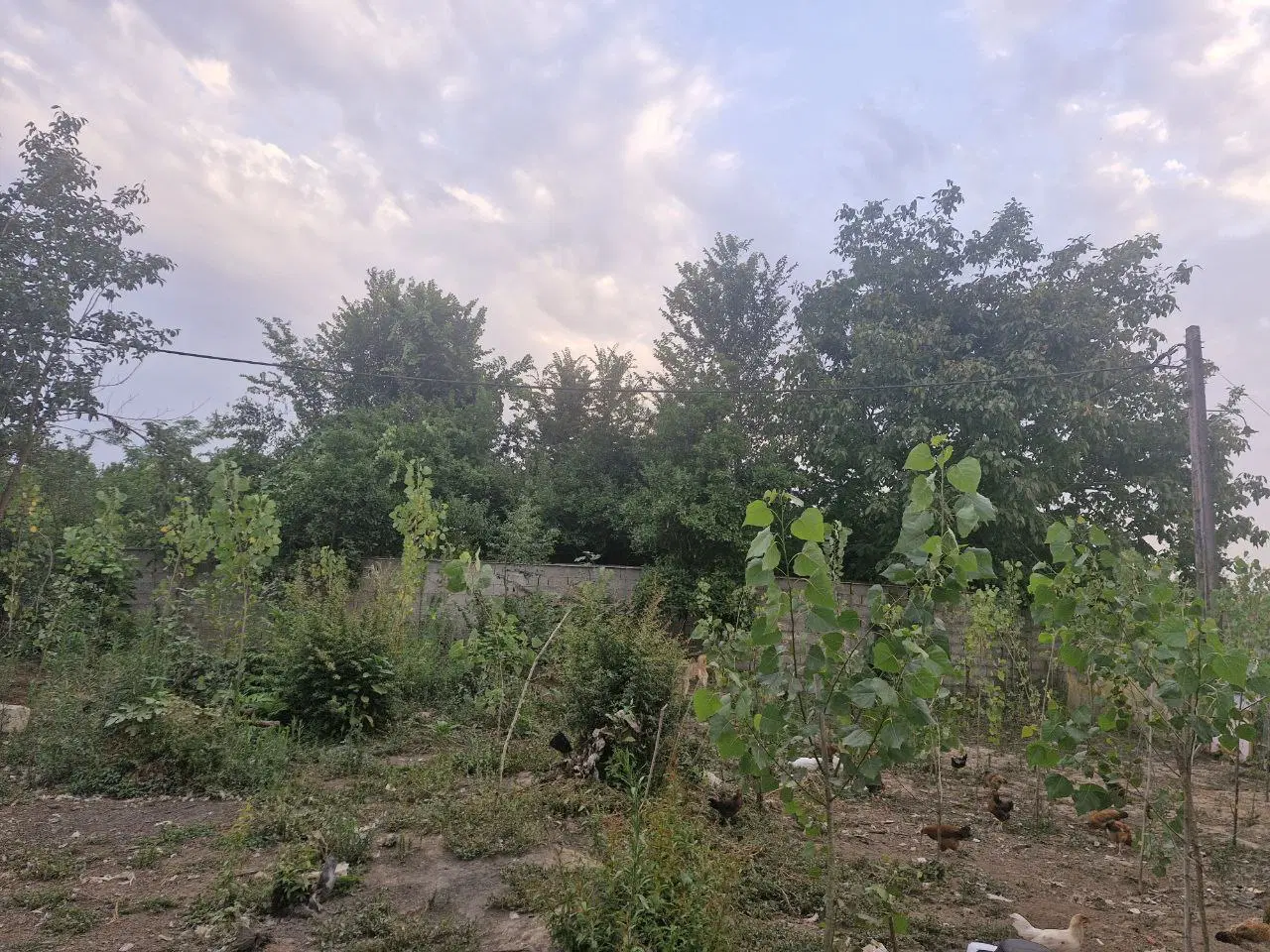 زمین با شرایط خوب و قیمت مناسب