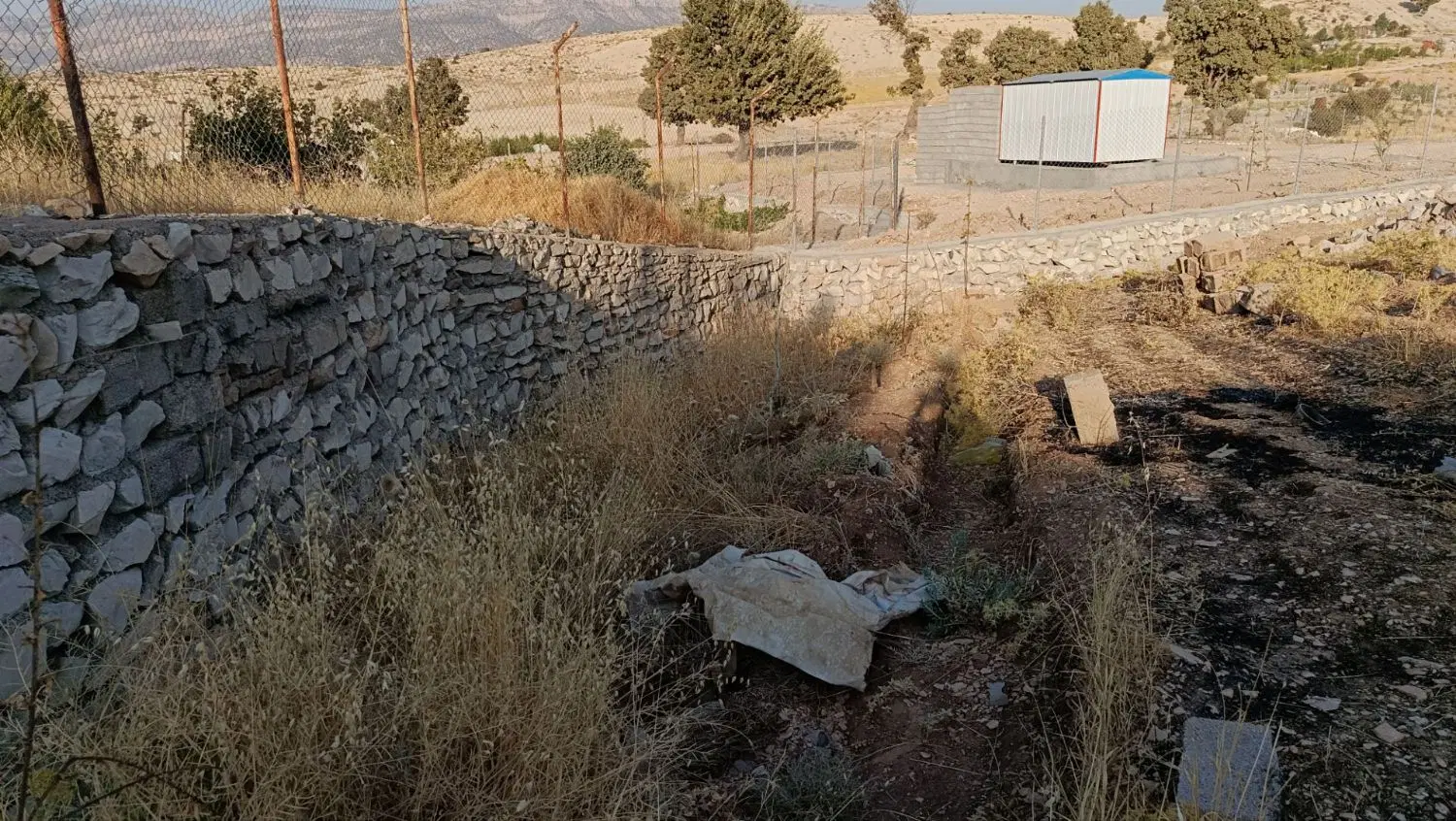 زمین باغی