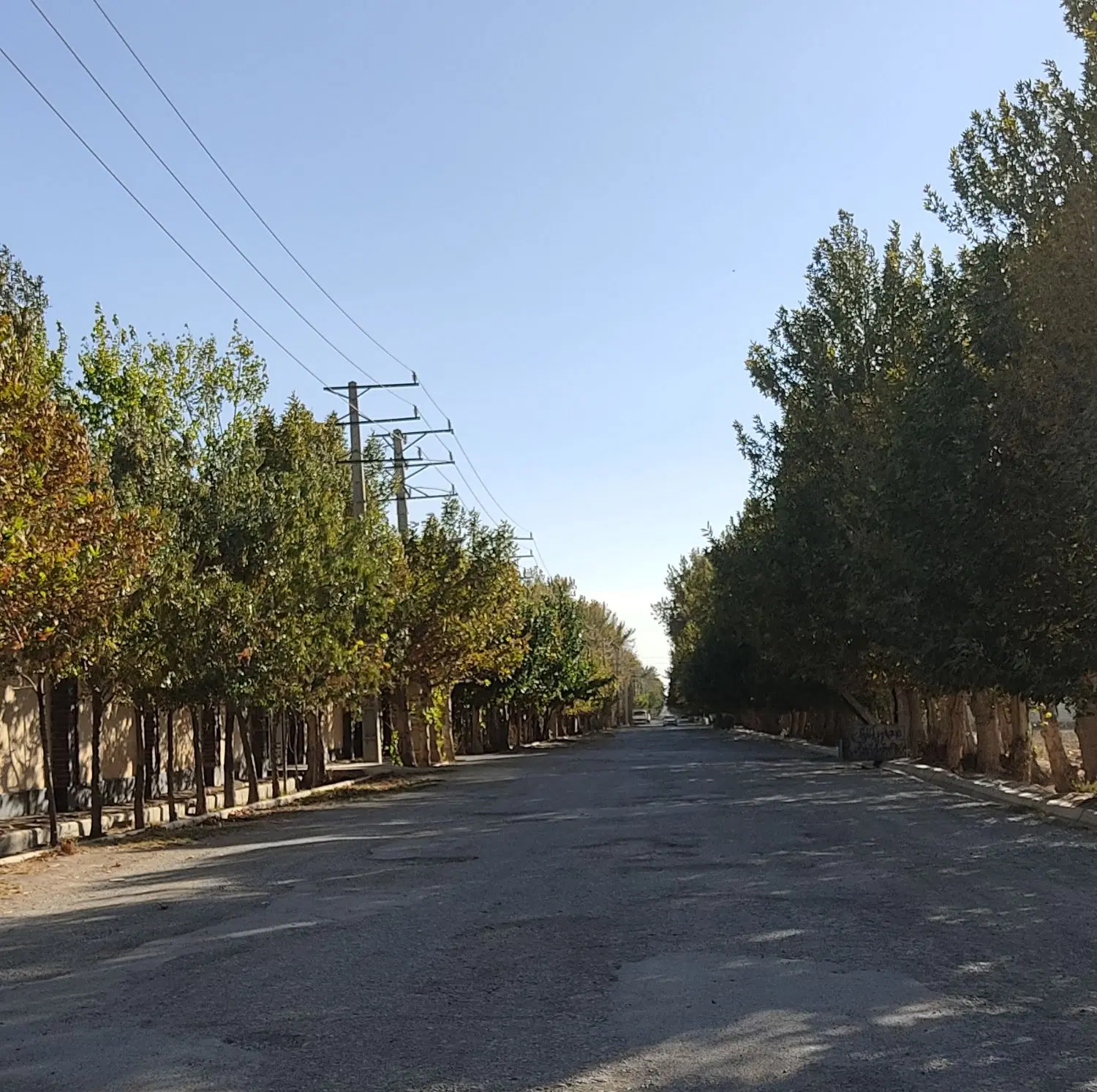 باغچه+سندششدانگ+پایانکار+فوری