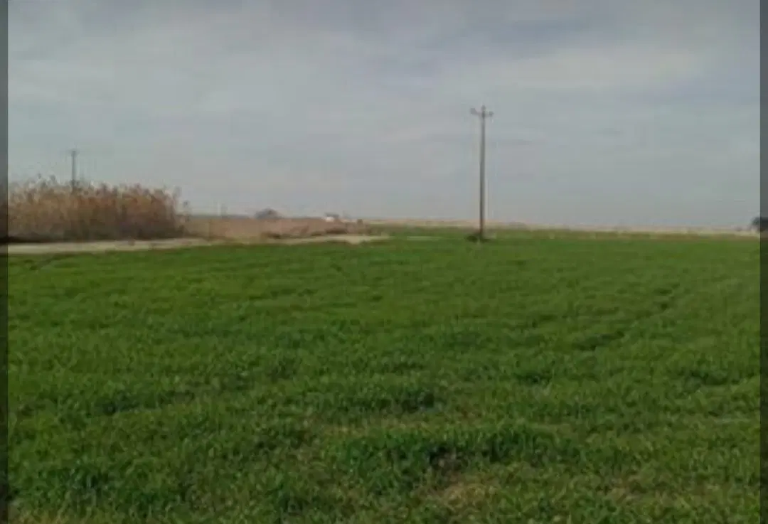 زمین ۲۰۰ متری روستای امیراباد