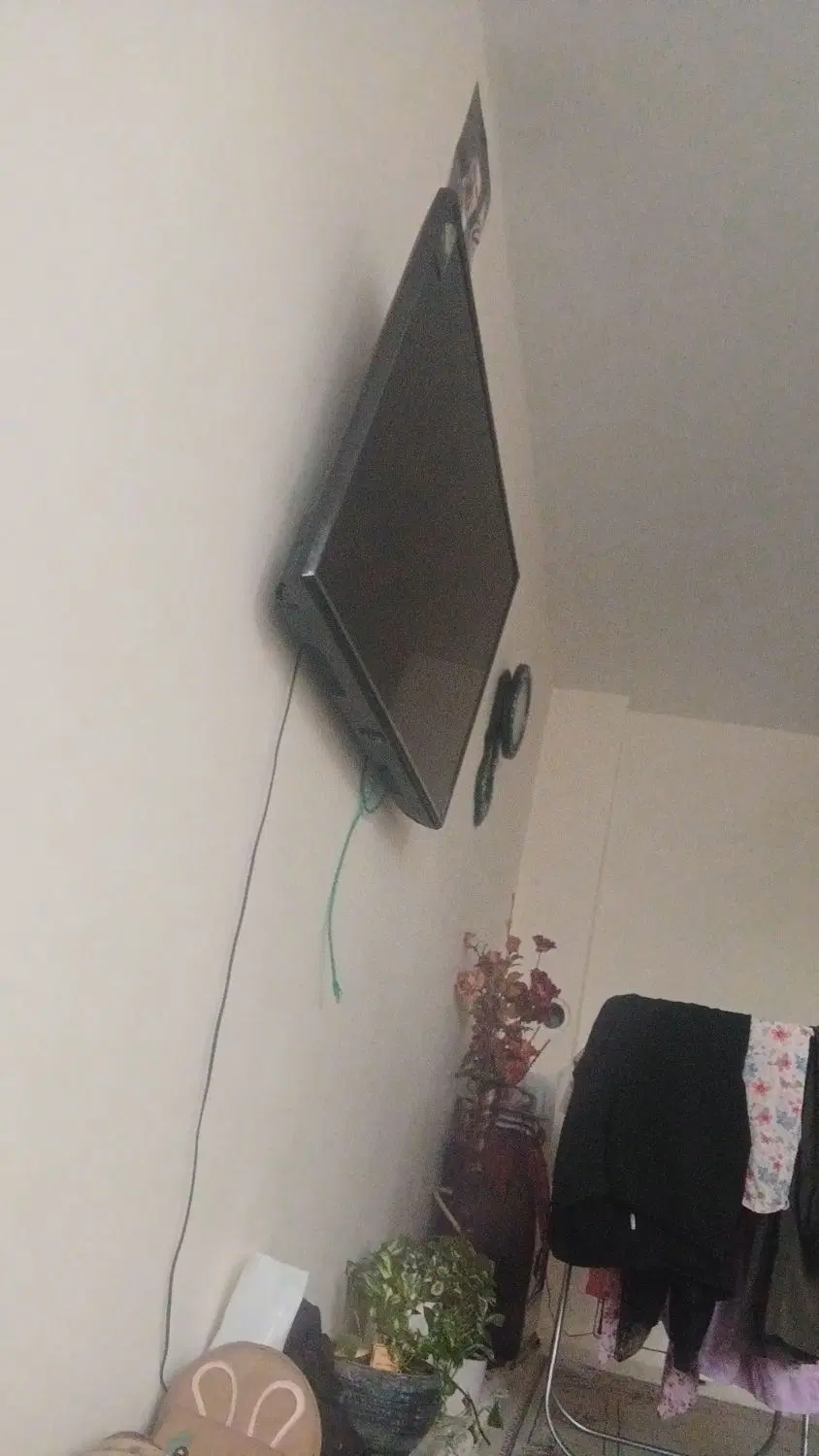 همخونه میخوام