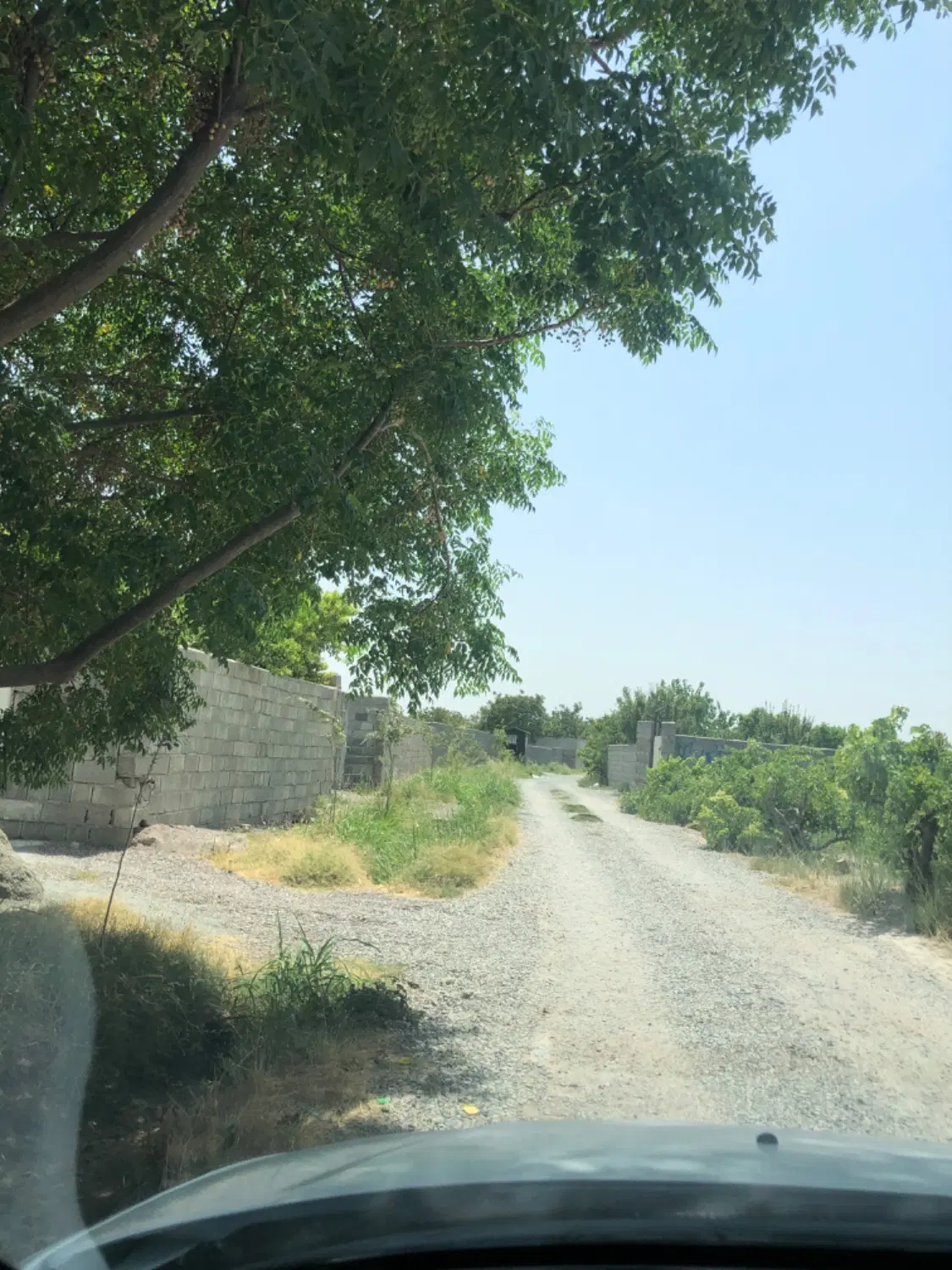 باغ وباغچه ویلا ۲۵۰ متری