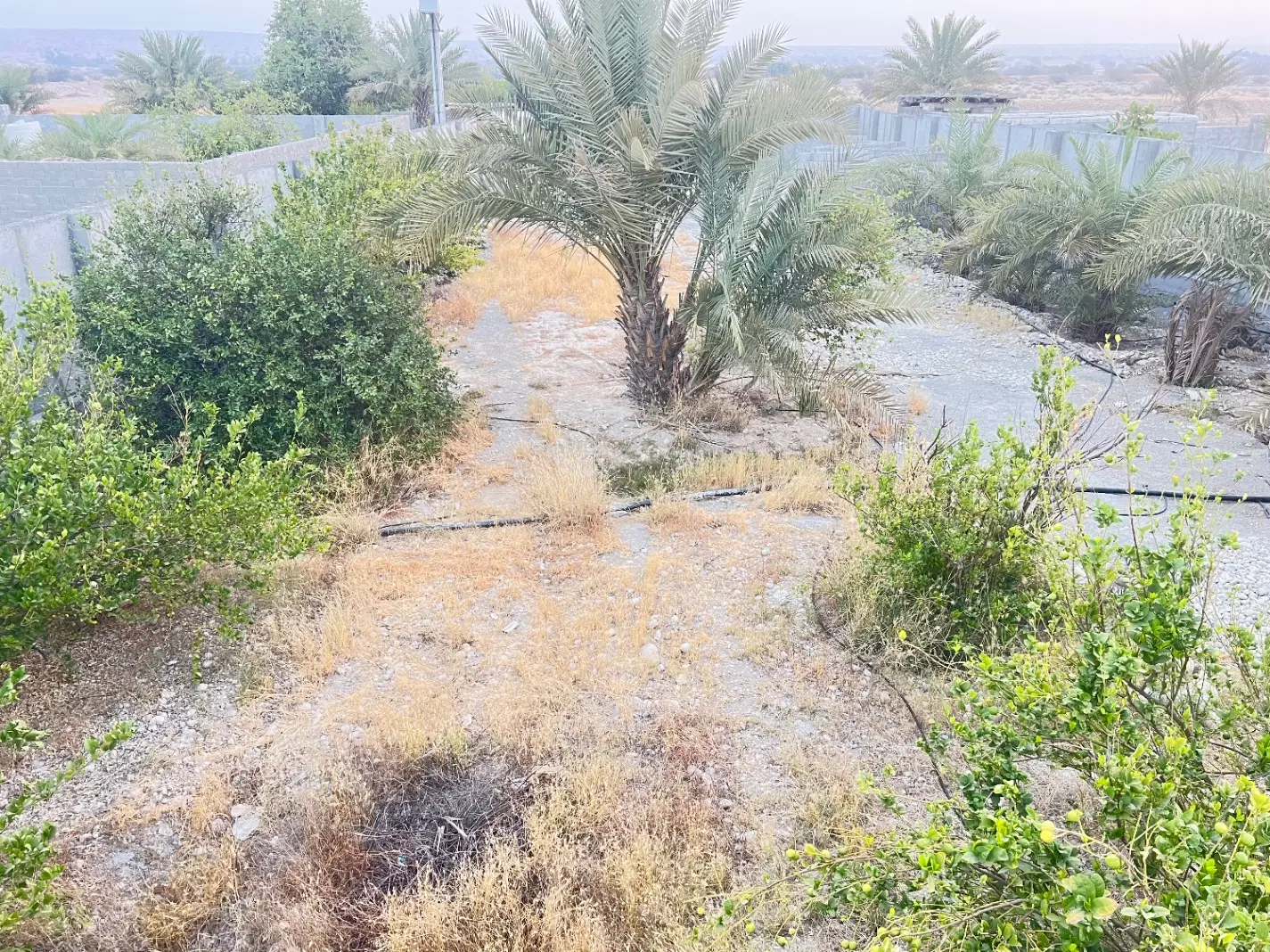 فروش زمین سید کامل