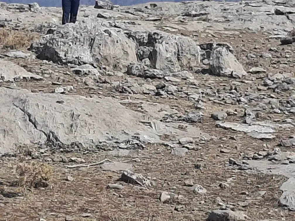 زمین پگاه رزم اوران