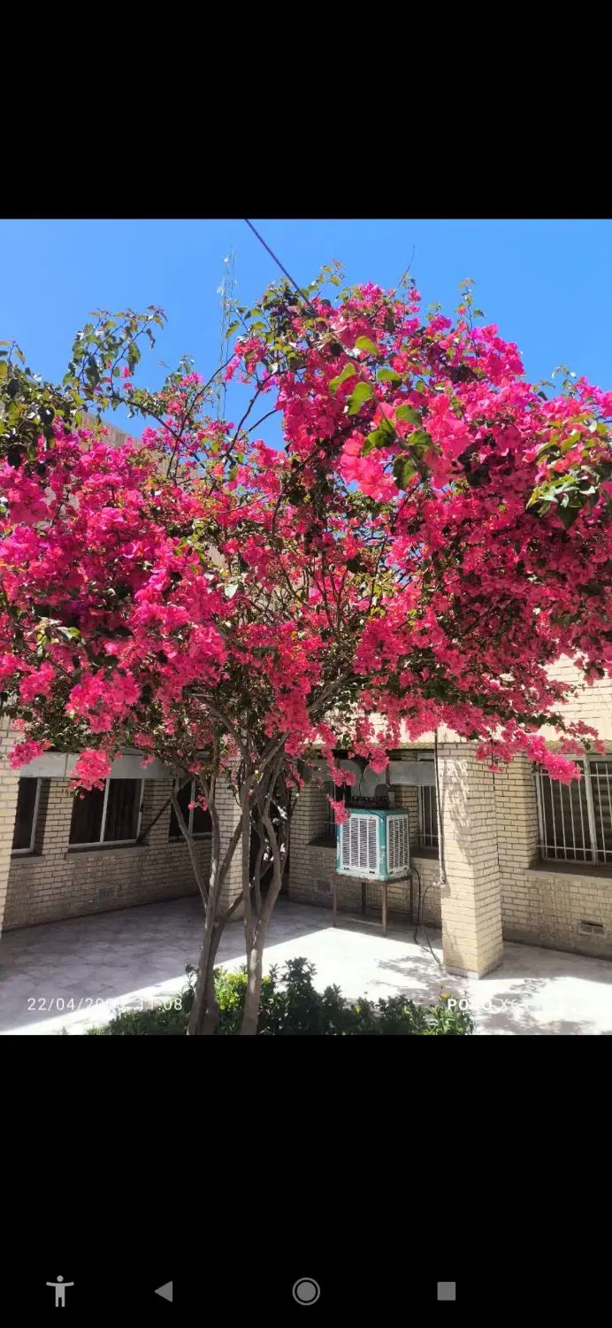 چهار دیواری قلعه صدری کوچه ۴۴