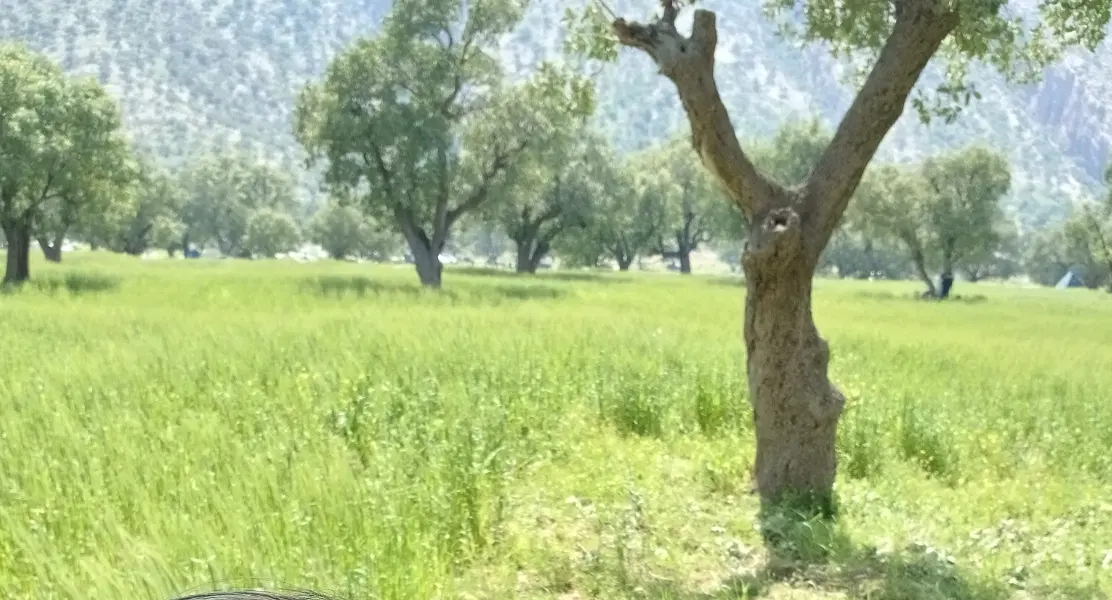 جهت سرمایه گزاری