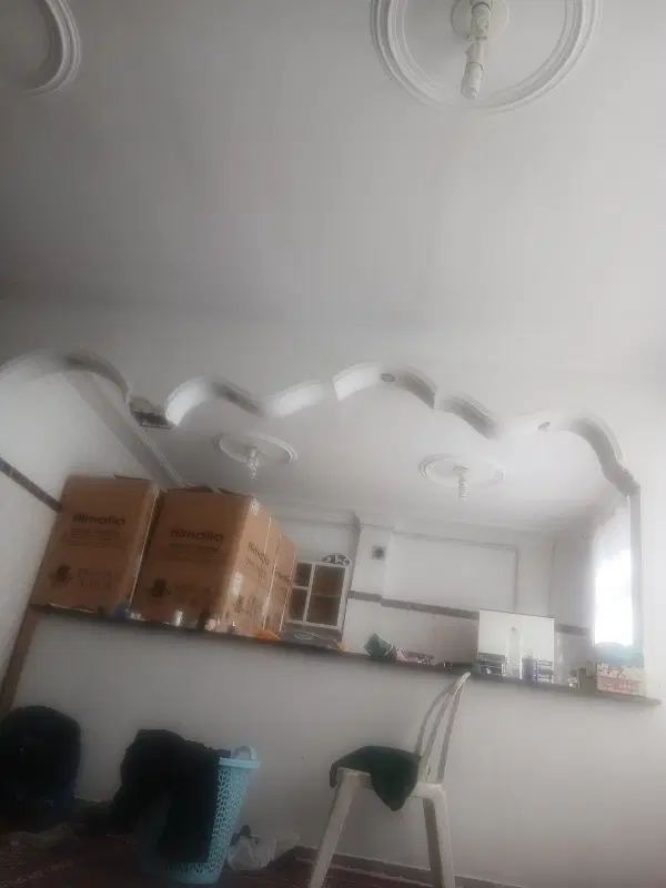 همخونه