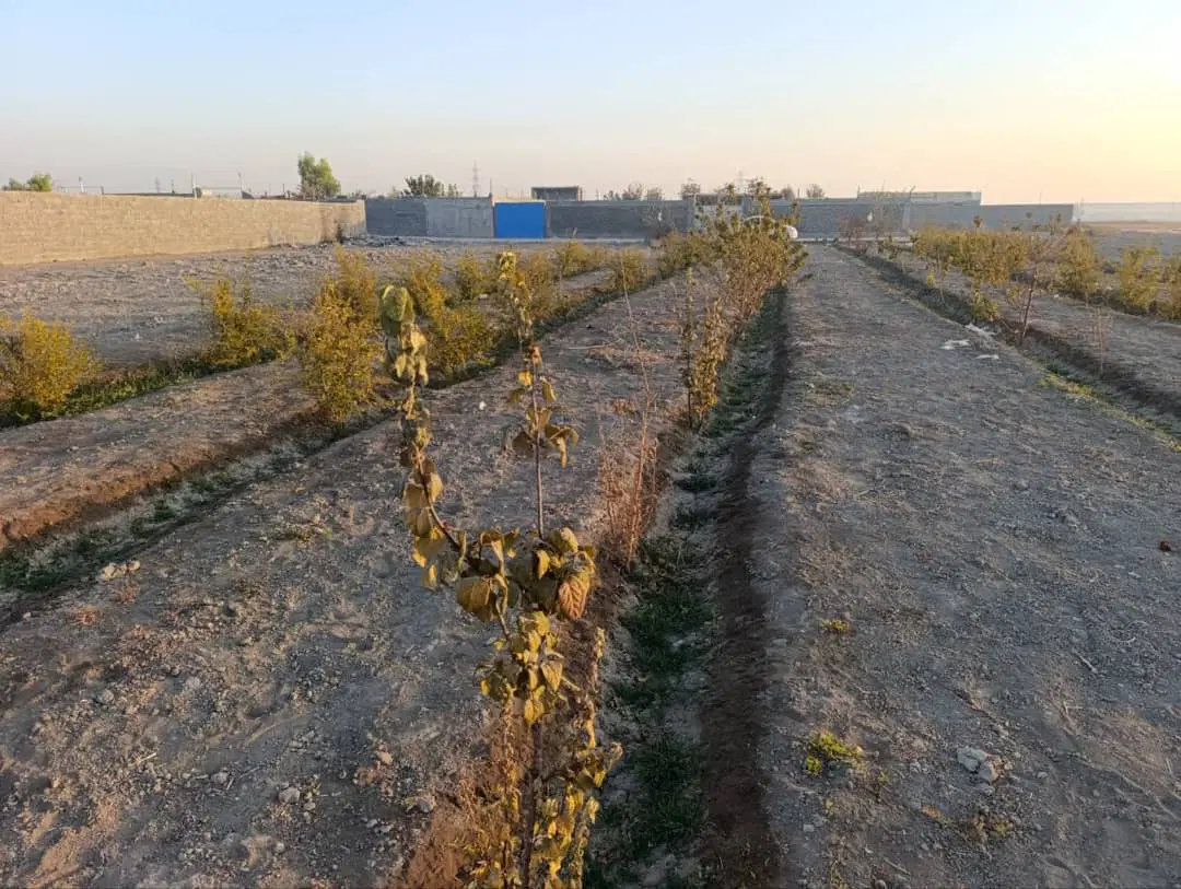 قیمت مناسب سرمایه گذاری