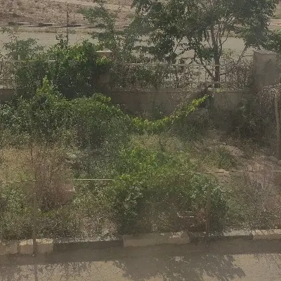 واحد فول امکانات شهرک ابریشم